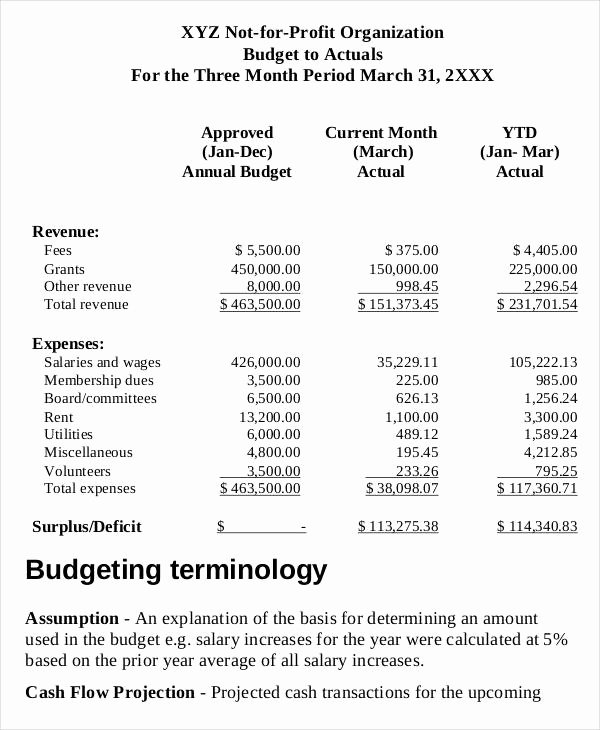Non Profit Budget Template Best Of 8 Non Profit Bud Templates Word Pdf Excel