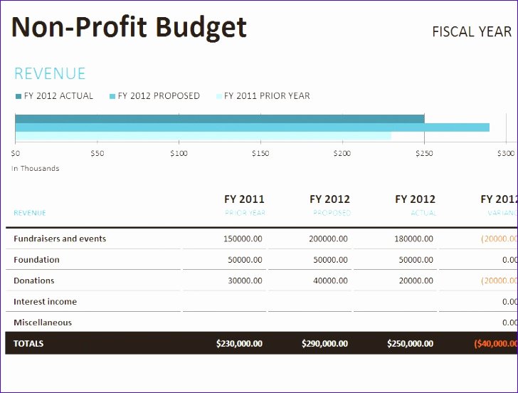 Non Profit Budget Template Excel Elegant 11 Nonprofit Bud Template Excel Exceltemplates