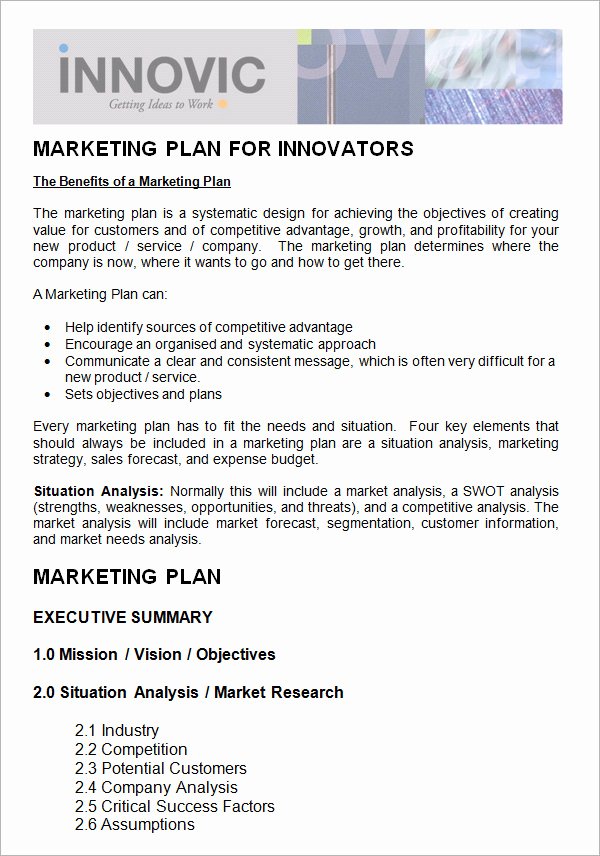 Non Profit Marketing Plan Template Fresh 14 Sample Marketing Plan Templates