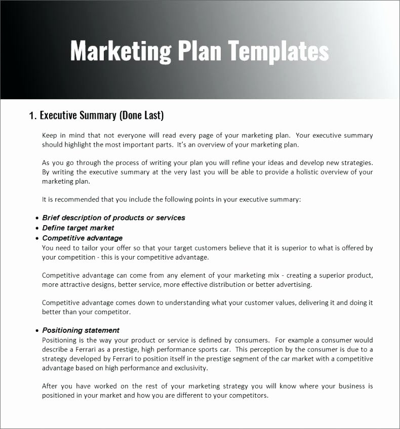 Non Profit Marketing Plan Template Luxury Non Profit organization Plan Template