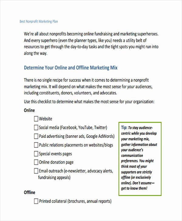 Non Profit Marketing Plan Template Unique 42 Marketing Plan Examples &amp; Samples Pdf Word Pages