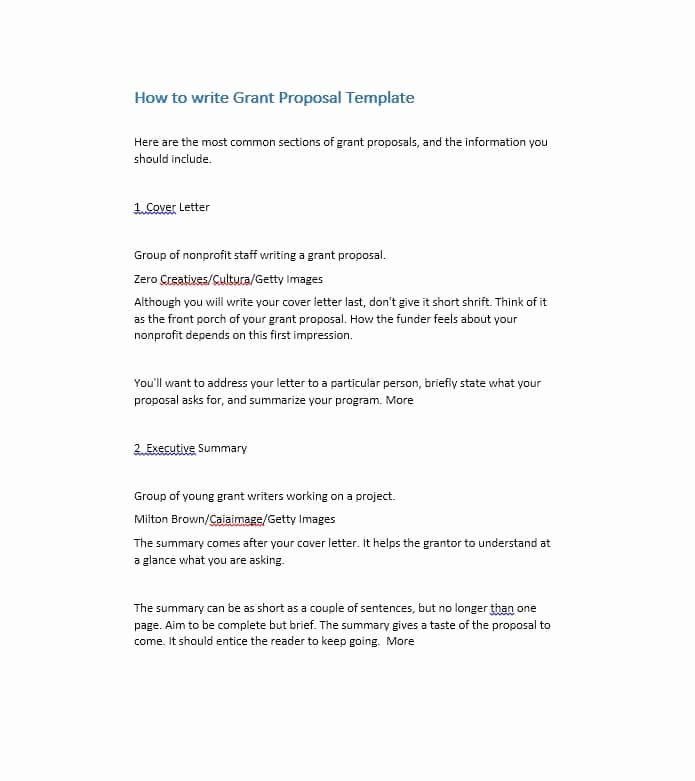 Non Profit Proposal Template Best Of 40 Grant Proposal Templates [nsf Non Profit Research