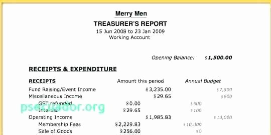 Non Profit Treasurer Report Template Luxury Non Profit Treasurer Report Template Awesome Free