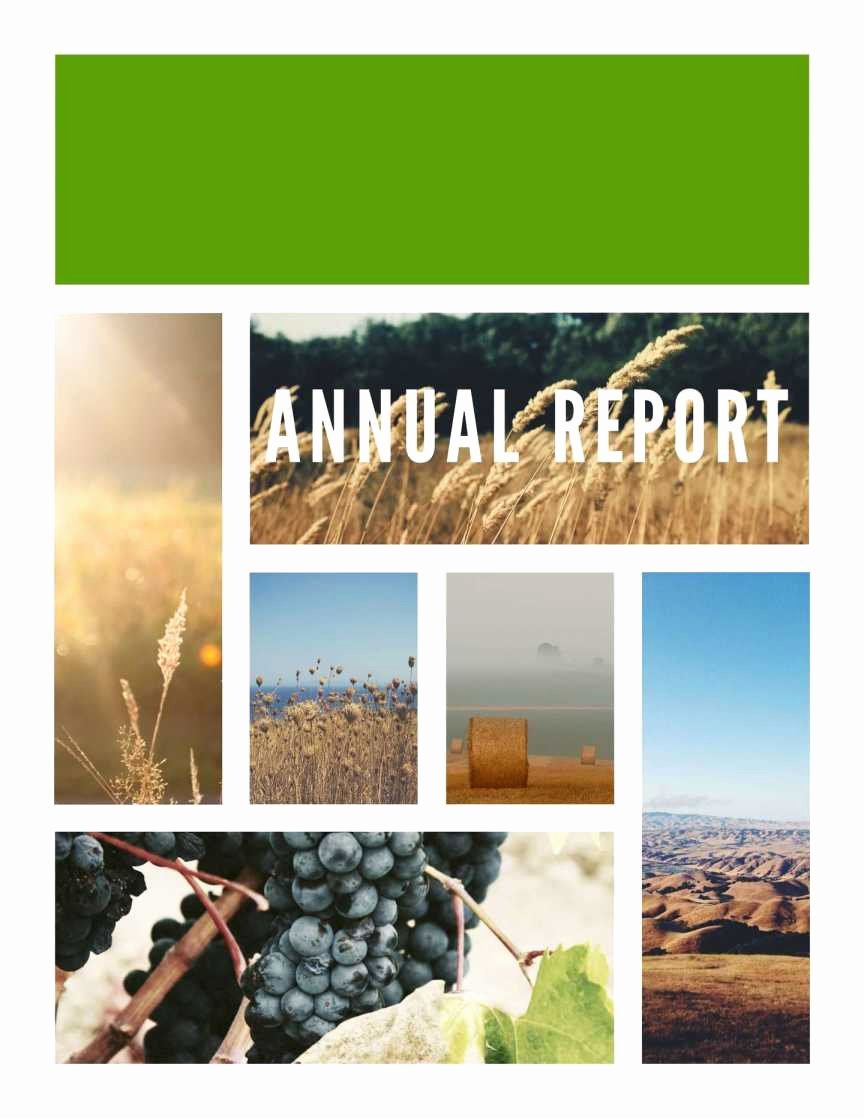 Nonprofit Annual Report Template Free Fresh 016 Free Non Profit Annual Report Template Indesign