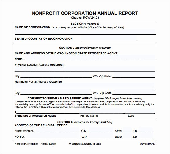 Nonprofit Annual Report Template Free Unique 10 Sample Annual Reports