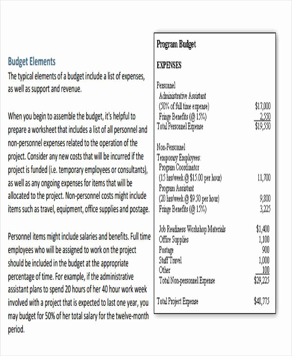 Nonprofit Program Budget Template Luxury 12 Non Profit Bud Templates Word Pdf Excel