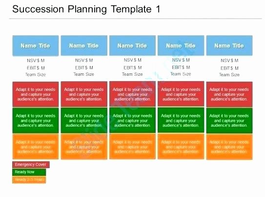 Nonprofit Succession Planning Template Unique Farm Succession Planning Template Business Succession Plan
