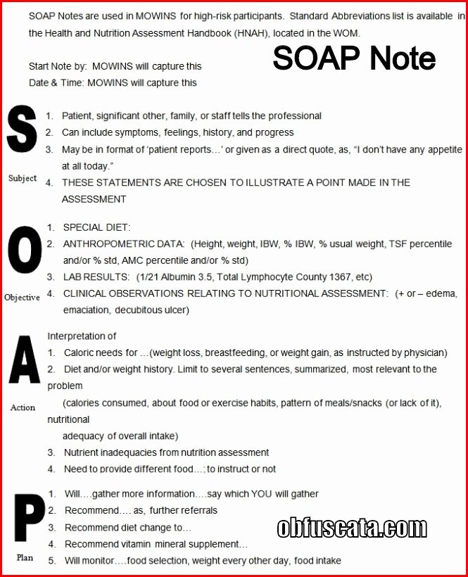 Nursing soap Note Template Inspirational What is A soap Note