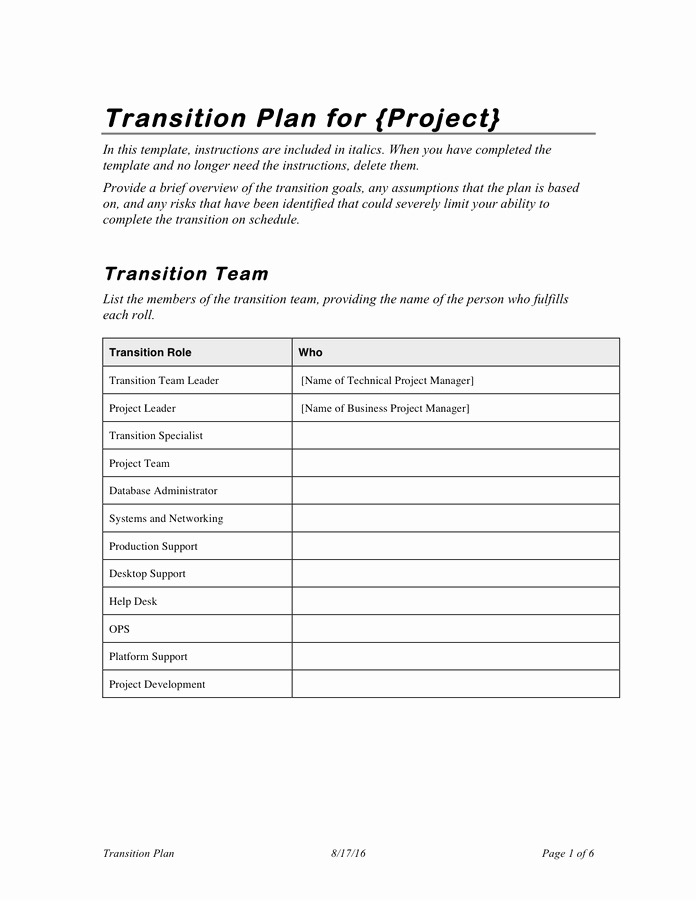 One Page Project Plan Template Inspirational Project Transition Plan Template In Word and Pdf formats