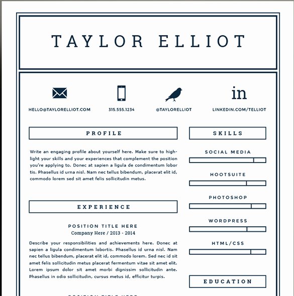 One Page Resume Template Free Inspirational 41 E Page Resume Templates Free Samples Examples
