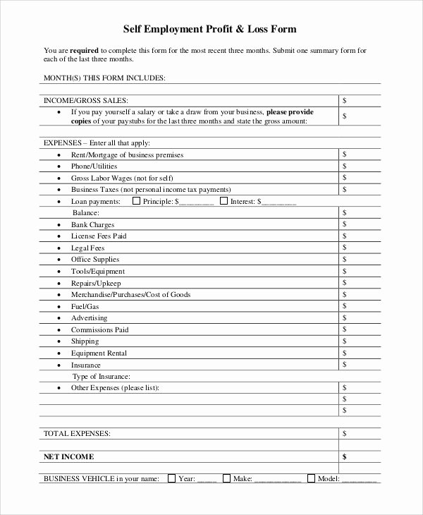 P and L Statement Template Awesome 9 Simple P and L Statement Irpens