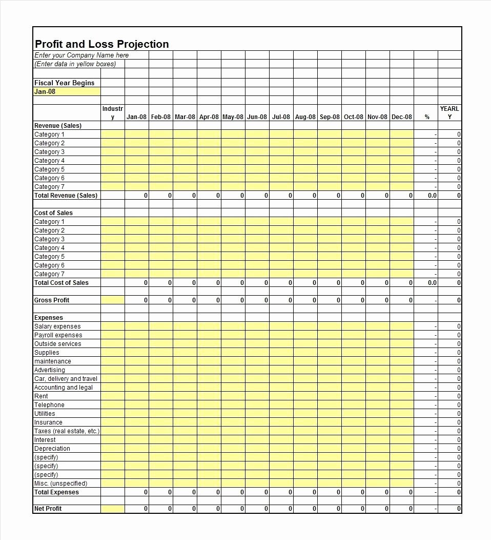 P and L Template Best Of P and L Spreadsheet Spreadsheet Downloa P and L Template