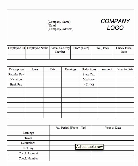 Payroll Stub Template Excel Elegant Microsoft Excel Pay Stub