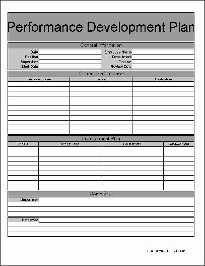 Performance Development Plan Template Awesome Free Basic Performance Development Plan