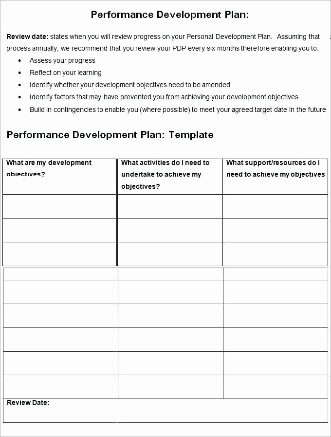 Performance Development Plan Template New Development Plan Template