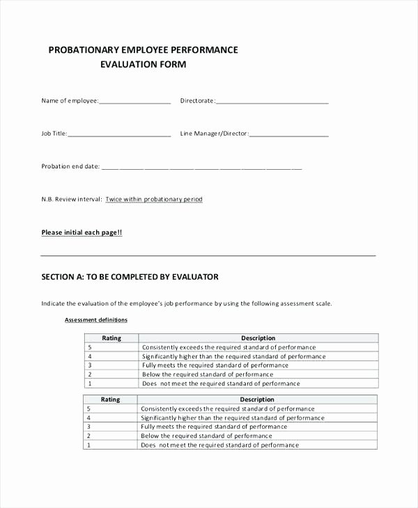 Performance Review Template for Managers Beautiful Performance Review Template for Managers 3 Performance