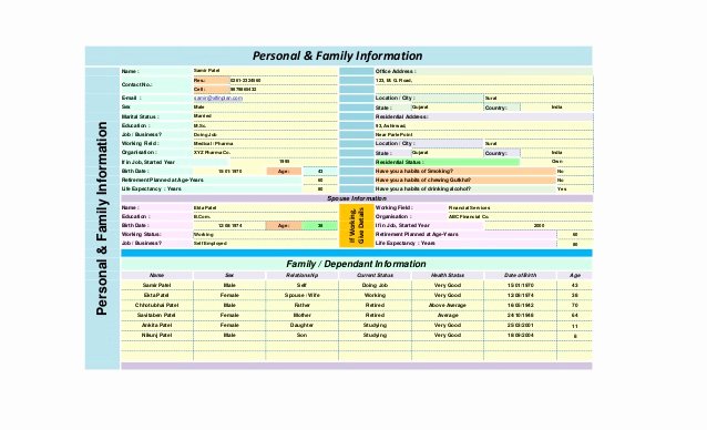 Personal Finance Planner Template Best Of Personal Financial Planning Templates Excel Free Yearly