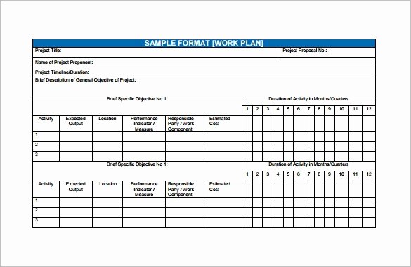 Personal Financial Planner Template Luxury Financial Plan Template