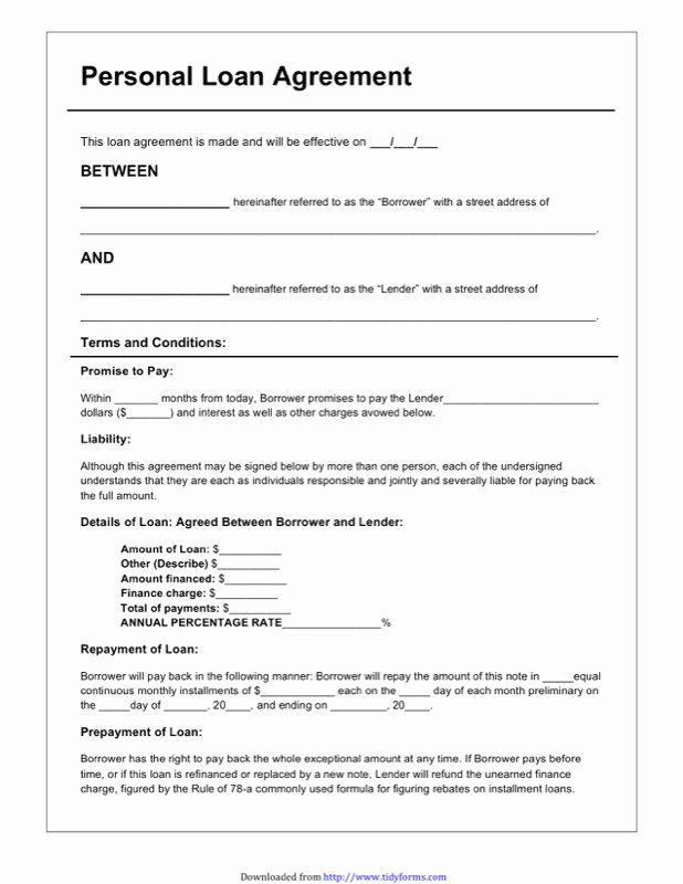 Personal Loan Documents Template Beautiful Loan Agreement form