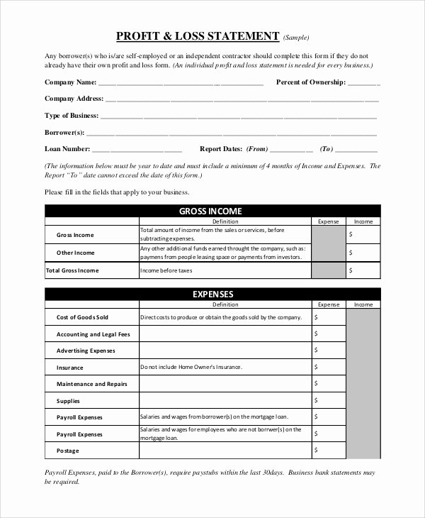 Personal Profit and Loss Template Best Of 9 Sample Profit and Loss forms