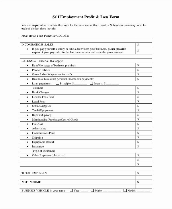 Personal Profit and Loss Template New 7 Sample Profit and Loss Statement forms