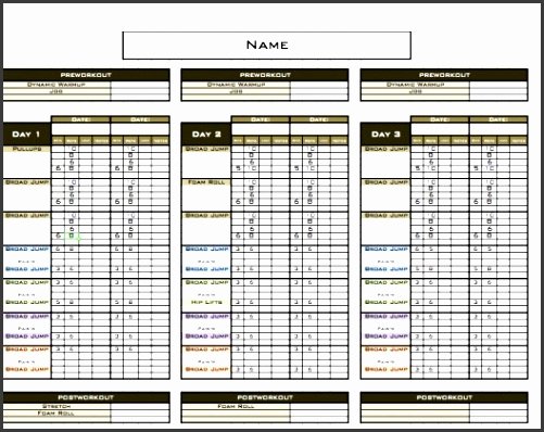 Personal Trainer Workout Plan Template Awesome 8 Free Fitness Plan Template In Excel Sampletemplatess