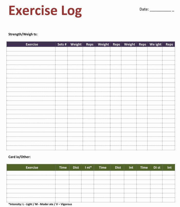 Personal Trainer Workout Plan Template Awesome Exercise Log Template 8 Plus Training Sheets