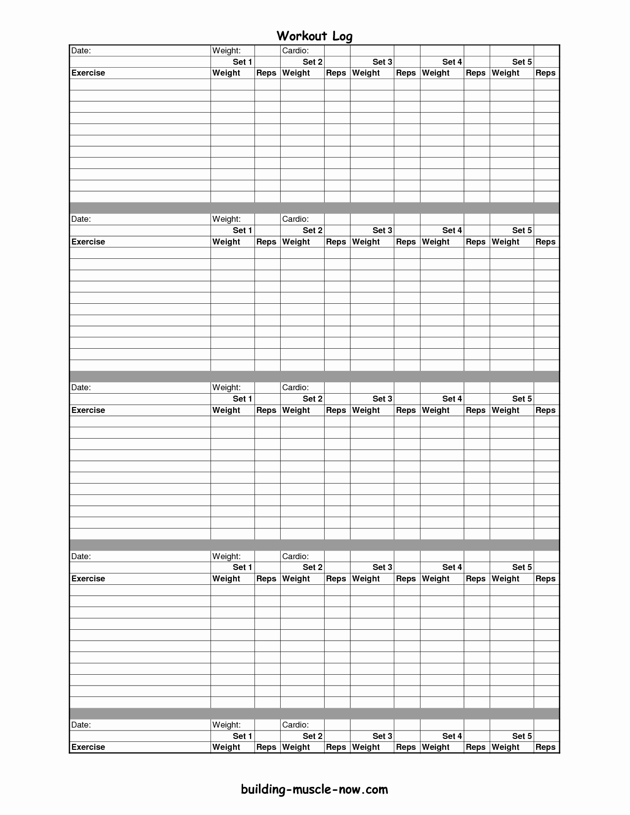 Personal Trainer Workout Plan Template Awesome Printable Exercise Log