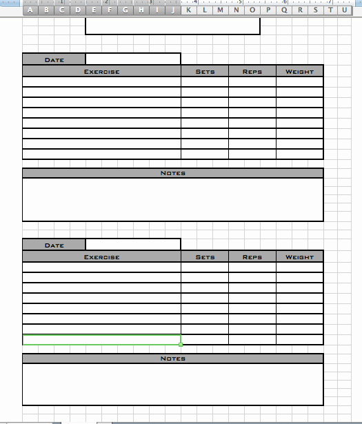 Personal Training Program Template Lovely Personal Workout Log Template