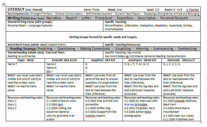 Personalized Learning Plan Template Elegant Professional Learning Plan Template to Pin On