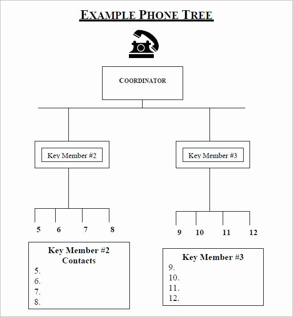 Phone Tree Template Excel Best Of Phone Tree 6 Free Pdf Doc Download