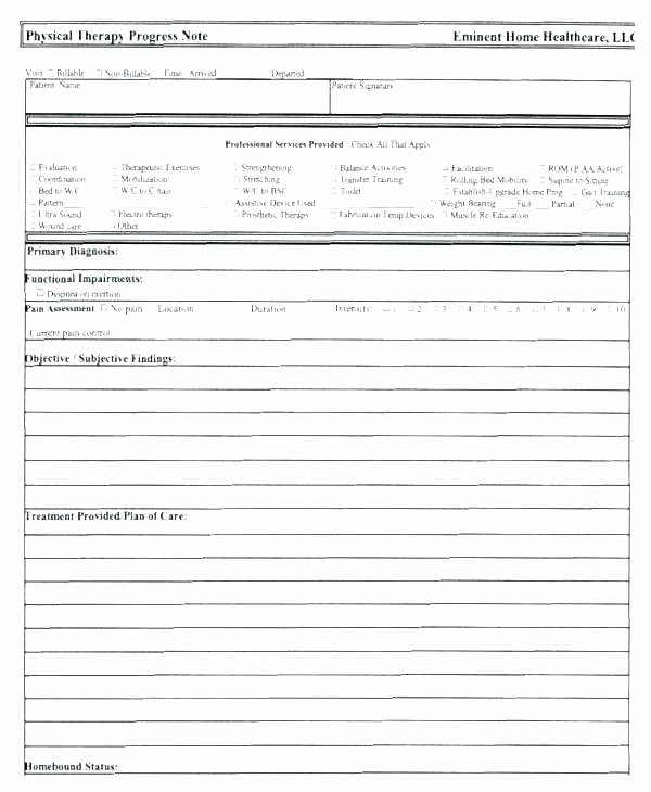 Physical therapy Progress Notes Template Unique Case Notes Template Management Service Plan social Work
