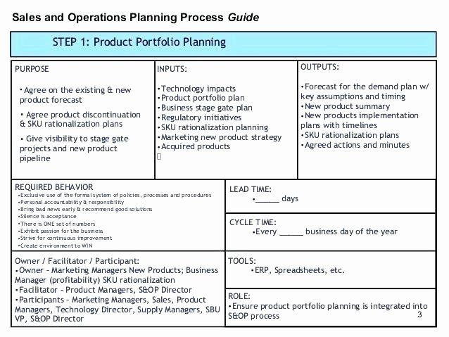 Police Operational Plan Template Awesome Example Police Operational Plan In the Philippines