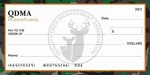 Print Your Own Checks Template New Check Gallery