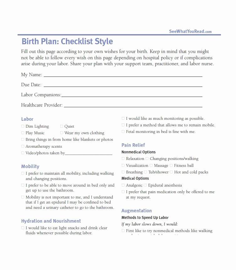Printable Birthing Plan Template Elegant 47 Printable Birth Plan Templates [birth Plan Checklist