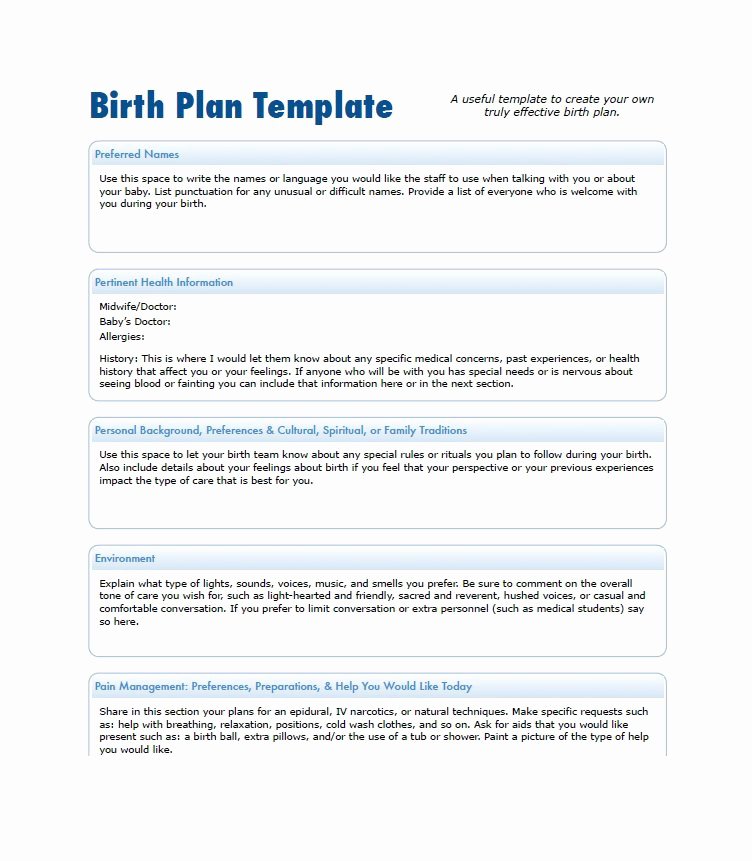 Printable Birthing Plan Template Elegant 47 Printable Birth Plan Templates [birth Plan Checklist