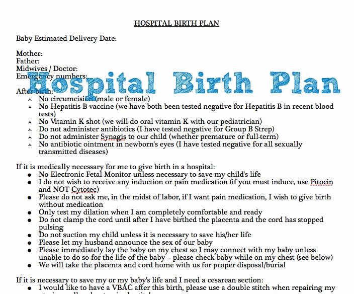 Printable Birthing Plan Template Elegant Best 25 Birth Plan Printable Ideas that You Will Like On