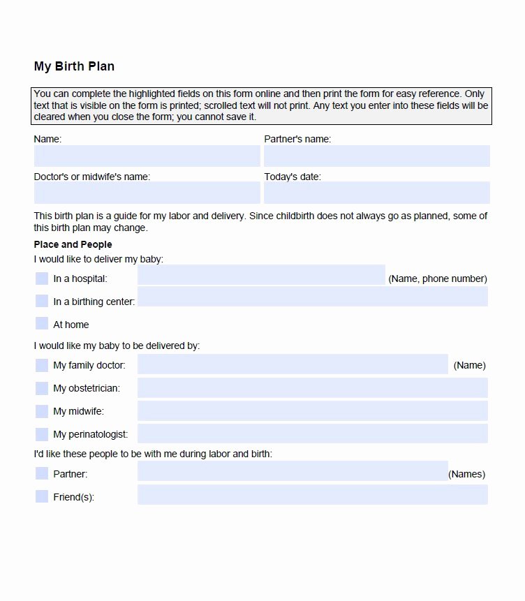 Printable Birthing Plan Template Fresh 47 Printable Birth Plan Templates [birth Plan Checklist
