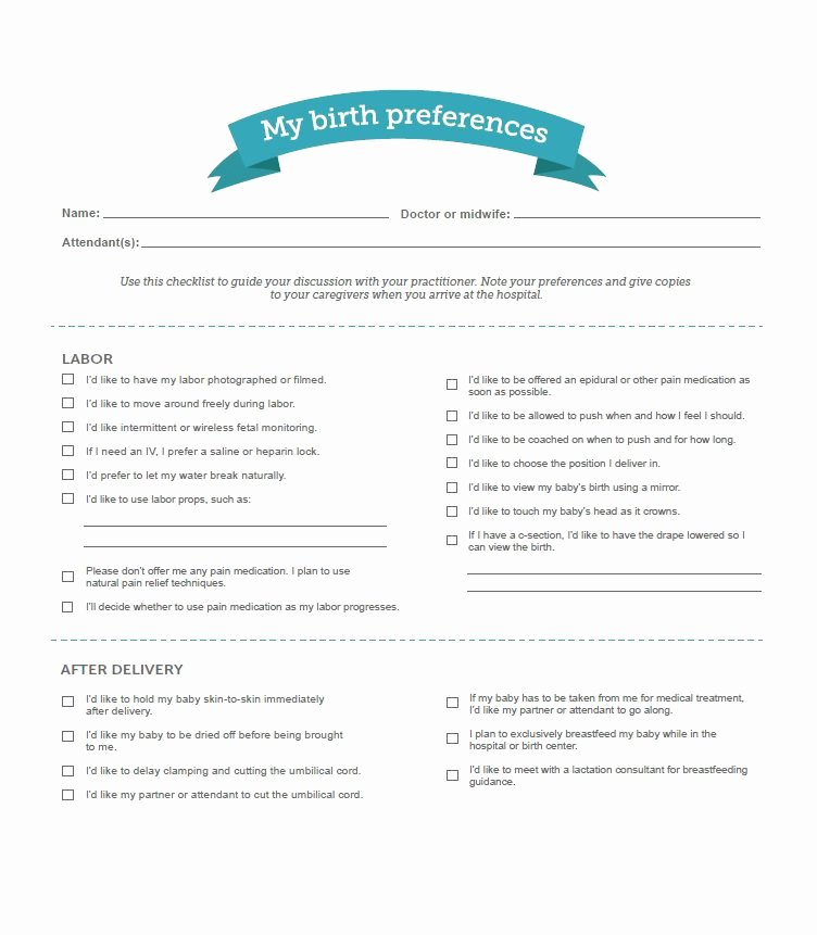 Printable Birthing Plan Template Fresh 47 Printable Birth Plan Templates [birth Plan Checklist