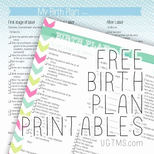 Printable Birthing Plan Template Inspirational Best 25 Birth Plan Printable Ideas On Pinterest