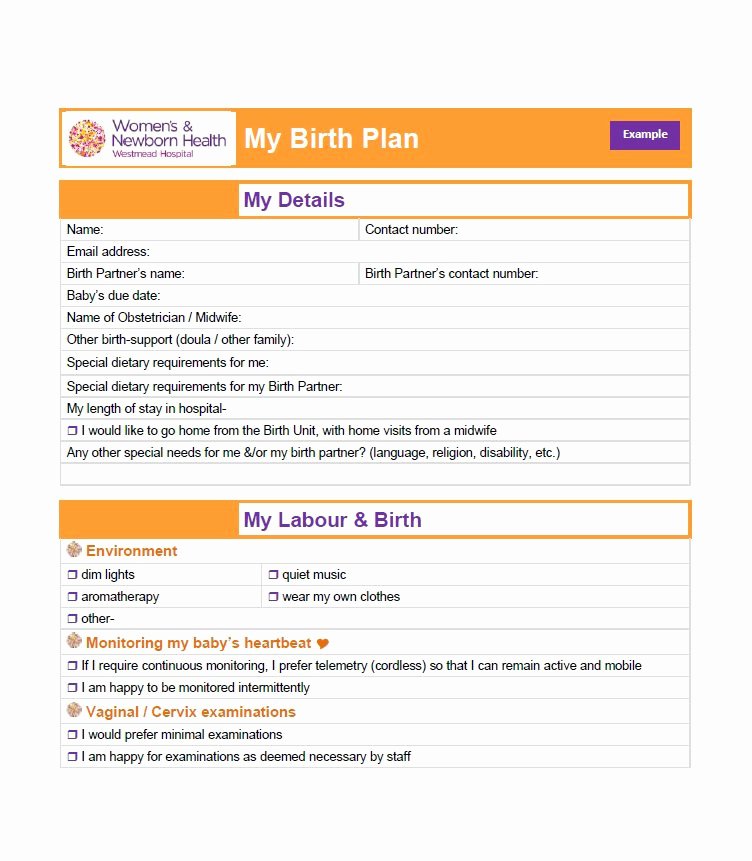 Printable Birthing Plan Template Luxury 47 Printable Birth Plan Templates [birth Plan Checklist