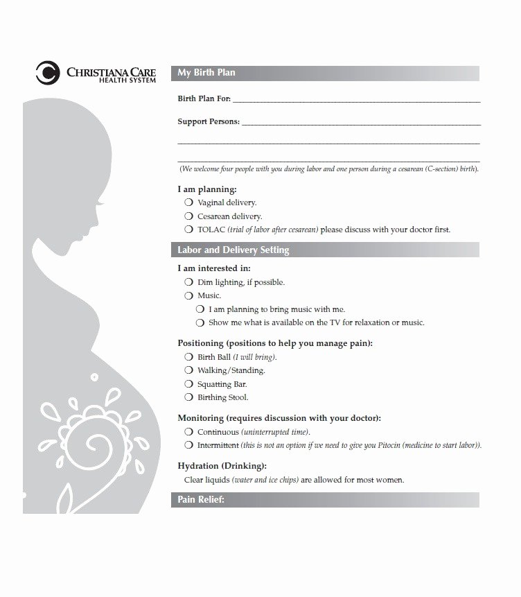 Printable Birthing Plan Template Luxury 47 Printable Birth Plan Templates [birth Plan Checklist