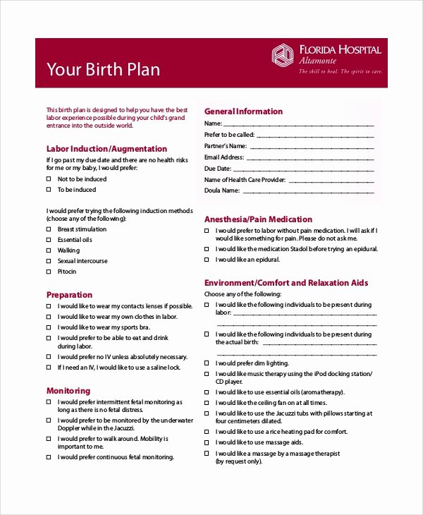 Printable Birthing Plan Template Unique 10 Birth Plan Examples