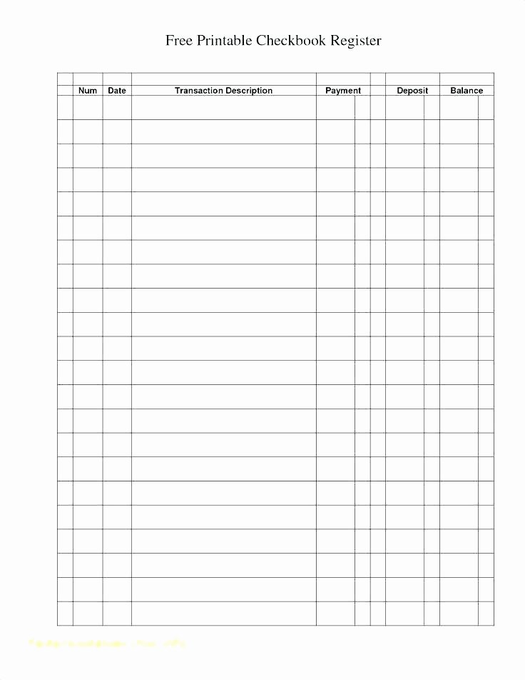 Printable Blank Check Template Unique Free Printable Check Register Template Sample Checkbook