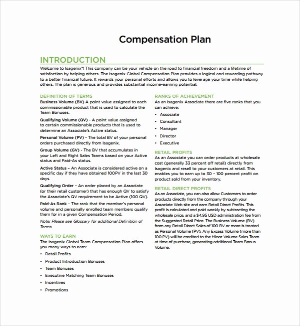 Professional Compensation Plan Template New Sample Pensation Plan Template 8 Free Documents In