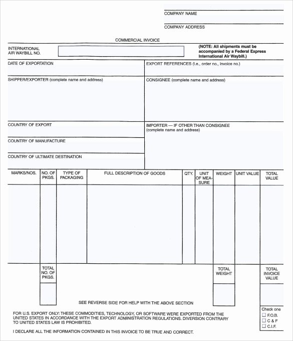 Professional Services Invoice Template Best Of 8 Professional Invoice Templates Download for Free