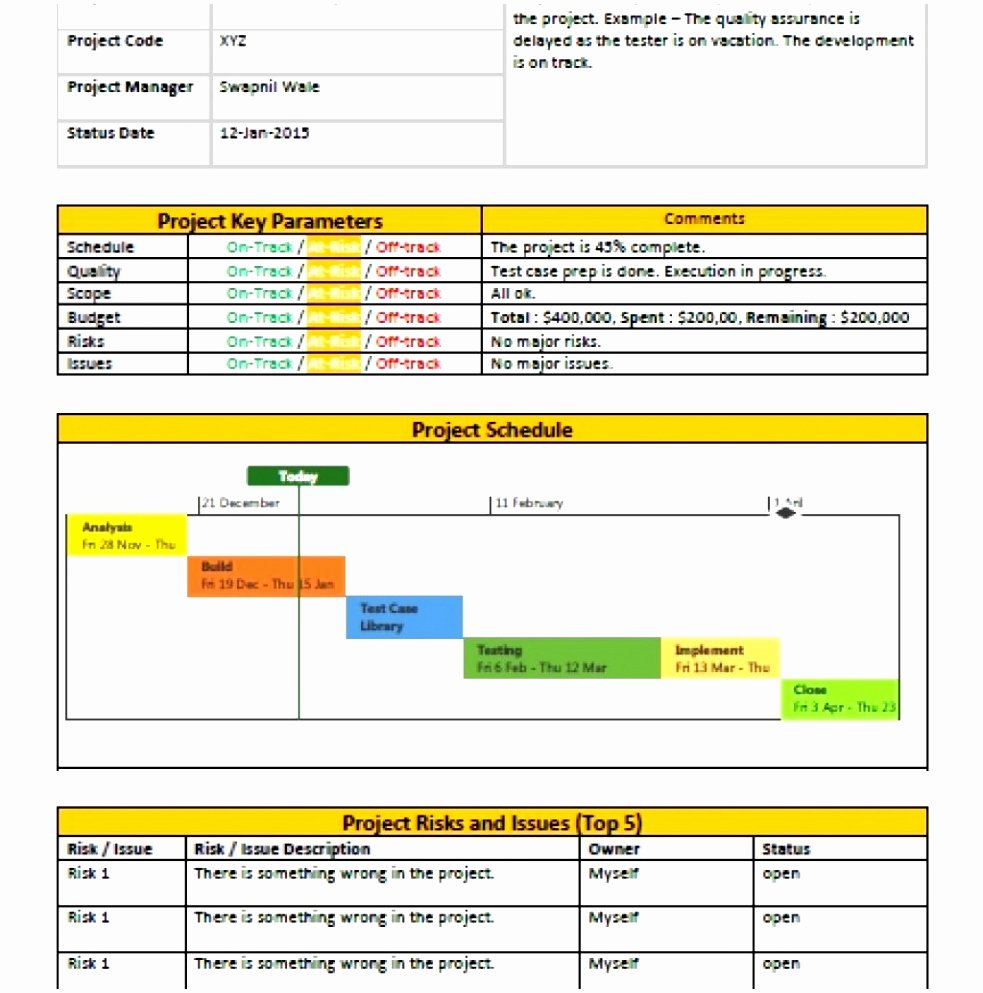 Progress Report Template Excel Elegant 9 Project Progress Report Template Excel Tiute