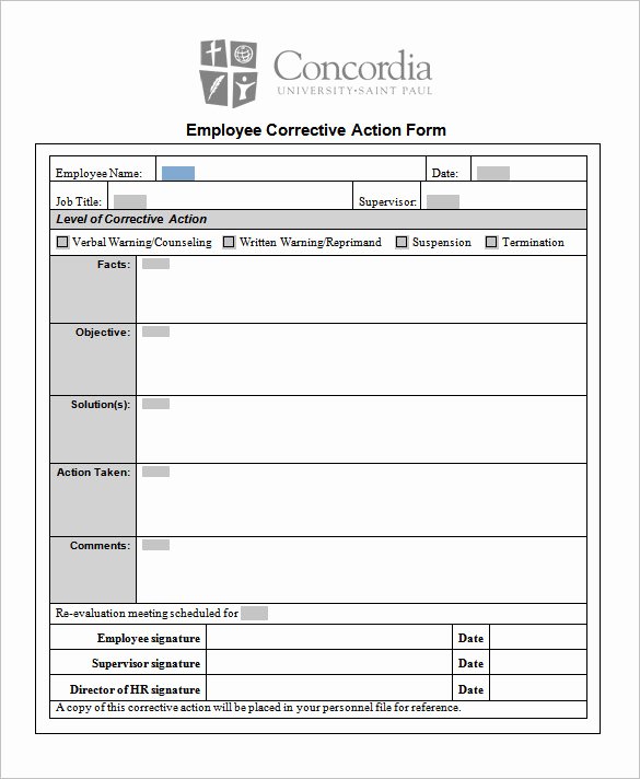Project Action Plan Template Beautiful 85 Action Plan Templates Word Excel Pdf