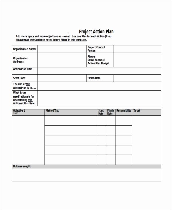 Project Action Plan Template Elegant Project Plan Template 10 Free Word Pdf Document