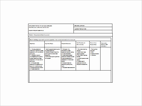 Project Action Plan Template Luxury Project Action Plan Template 16 Free Word Excel Pdf